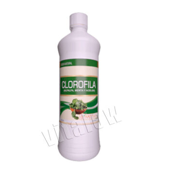 clorofila dnativa bebida
