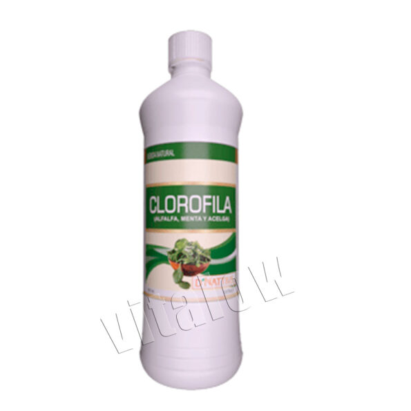 clorofila dnativa bebida