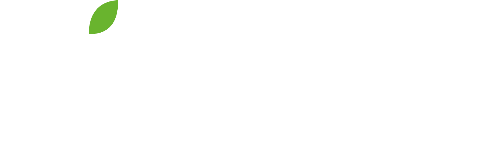 VITALOW